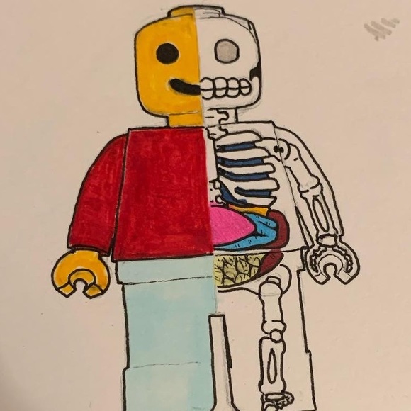 Meet your Posher, Zane - Picture 1 of 1